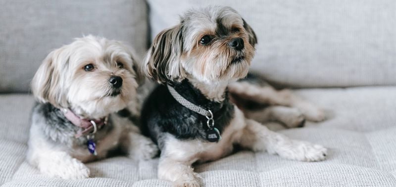 Less Risk of Accidental Injury