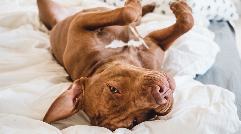 Floppy Relaxation Around You