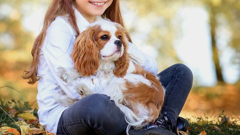 Less Intimidating to Strangers