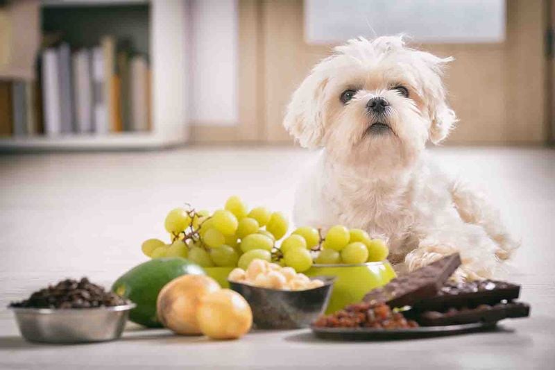 Grapes
