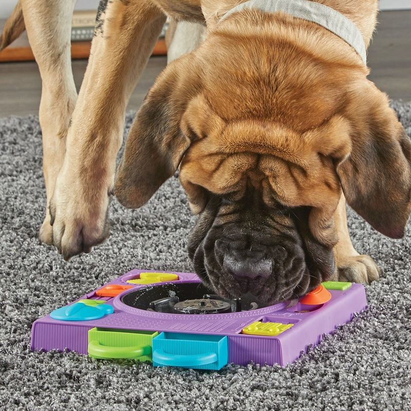 Try Puzzle Feeders