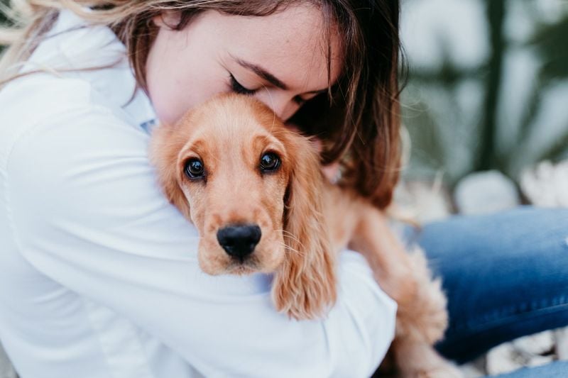 Increased Clinginess or Velcro Behavior