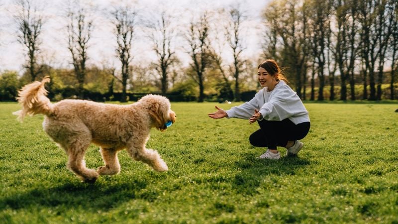 Your Willingness to Play