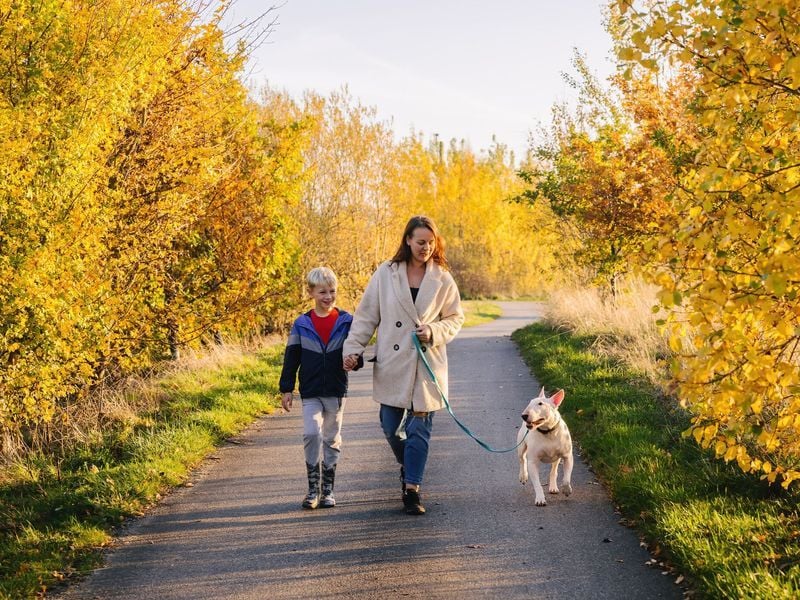 Go on Low-Stress Walks Together