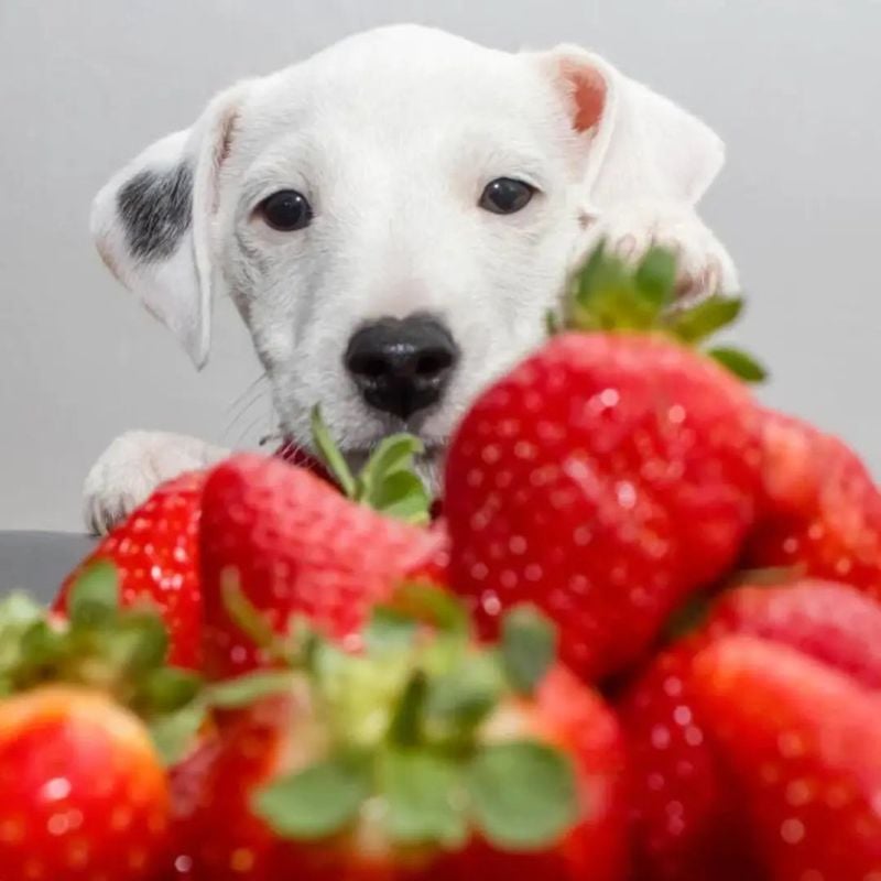 Strawberries