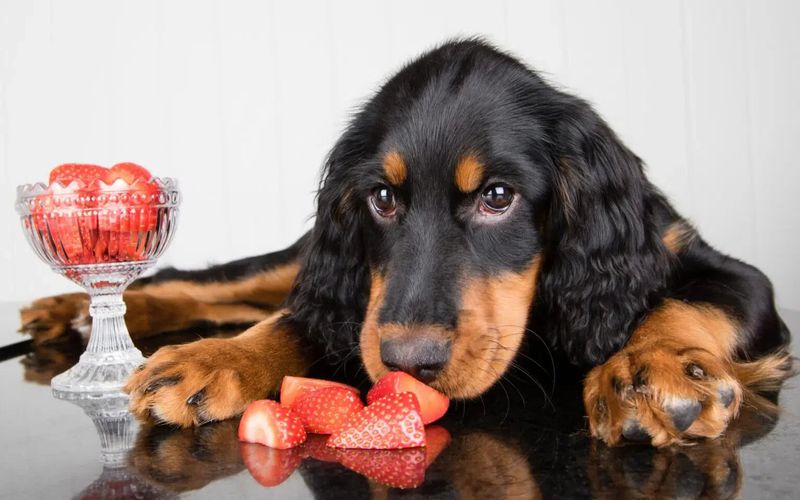 Fresh Strawberry Halves
