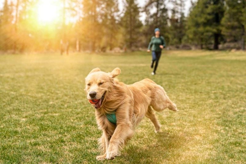 Exercise Their Body and Mind