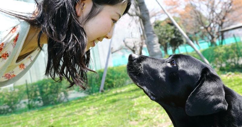 They Make Longer Eye Contact