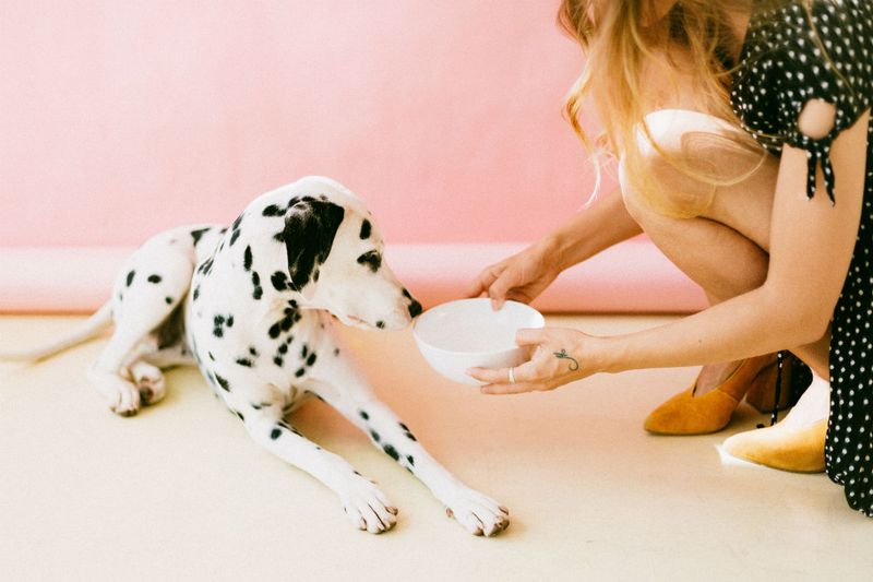 Appetite and Energy Swings Are Common
