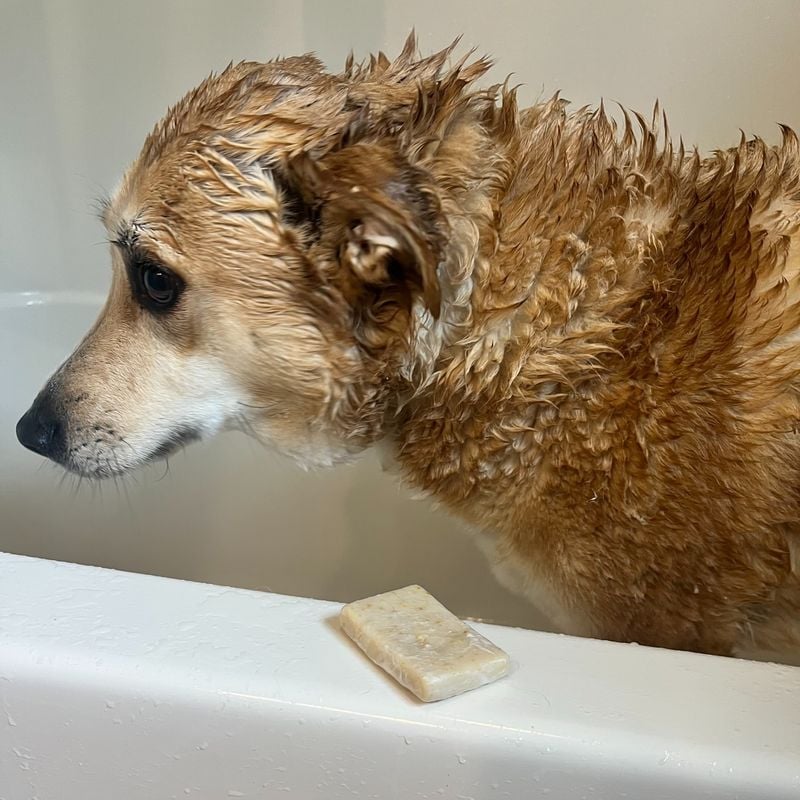 They Tolerate Things They Don’t Love—For You