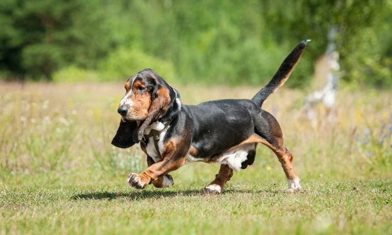 Stubbornness in Training