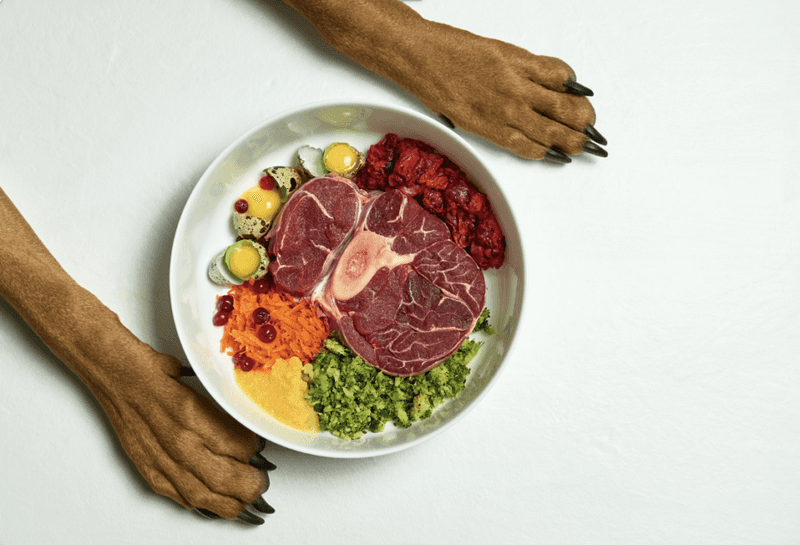What Is a Raw Dog Food Diet?
