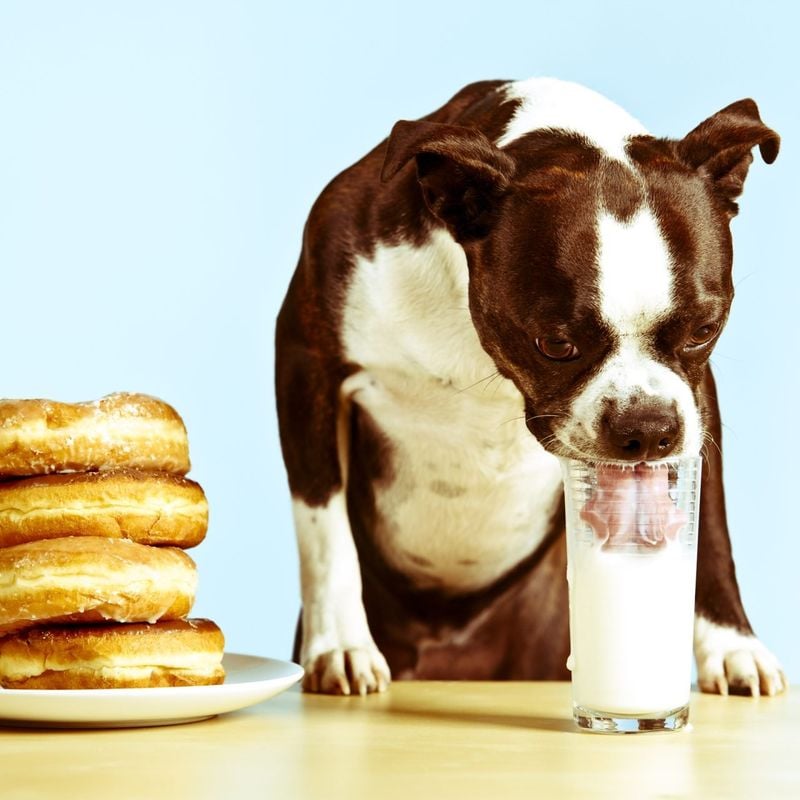 Milk and Dairy Products