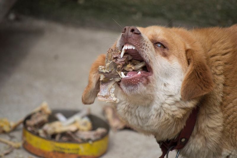 Cooked Bones