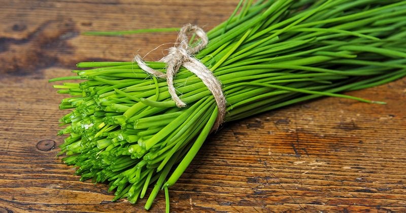 Chives