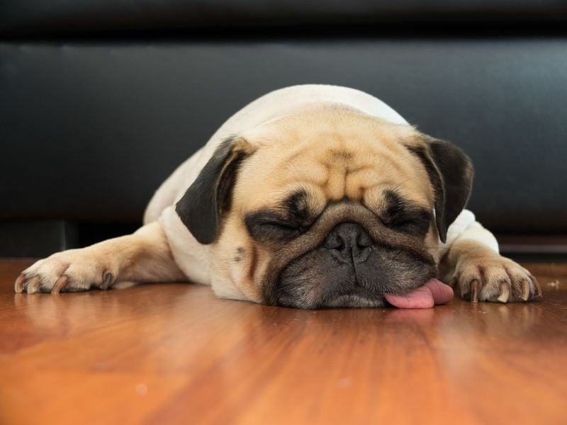 Low Energy or Lethargy