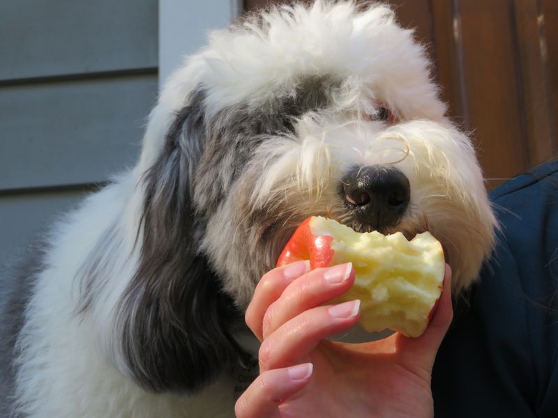 Crisp Apples: Fiber-Rich Refreshment