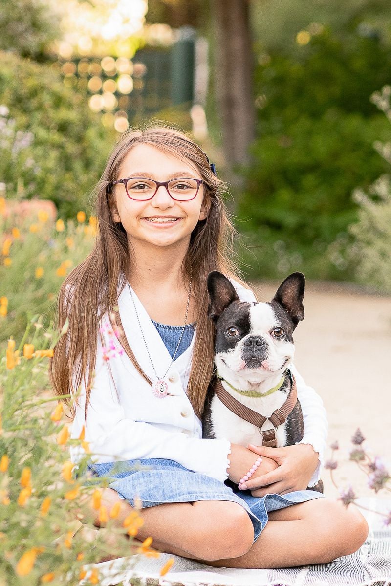Boston Terrier