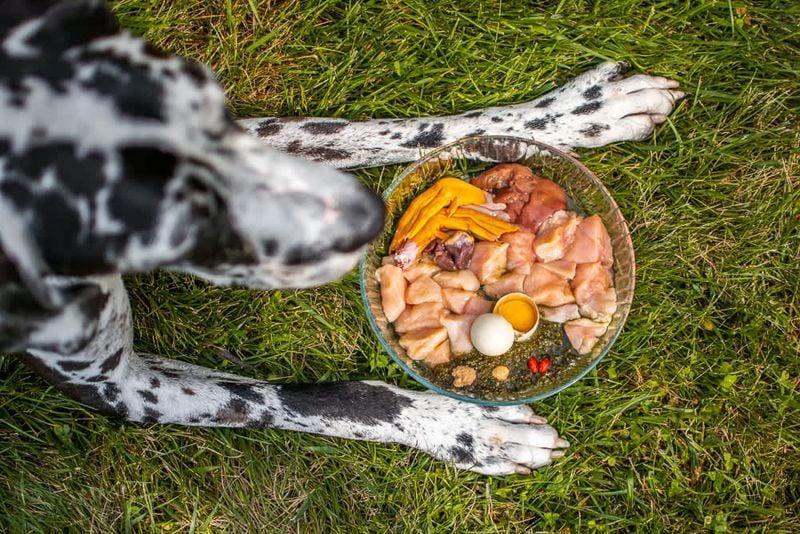 Foods to Avoid During Rotation