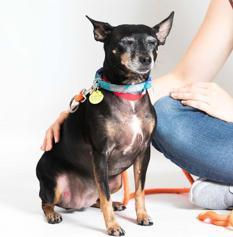 Increased Reactivity to Touch