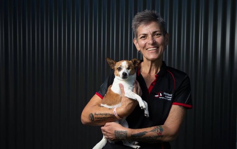 Those Who Can't Handle Long-Term Commitment