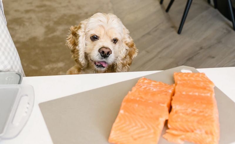 Raw Fish (especially salmon)
