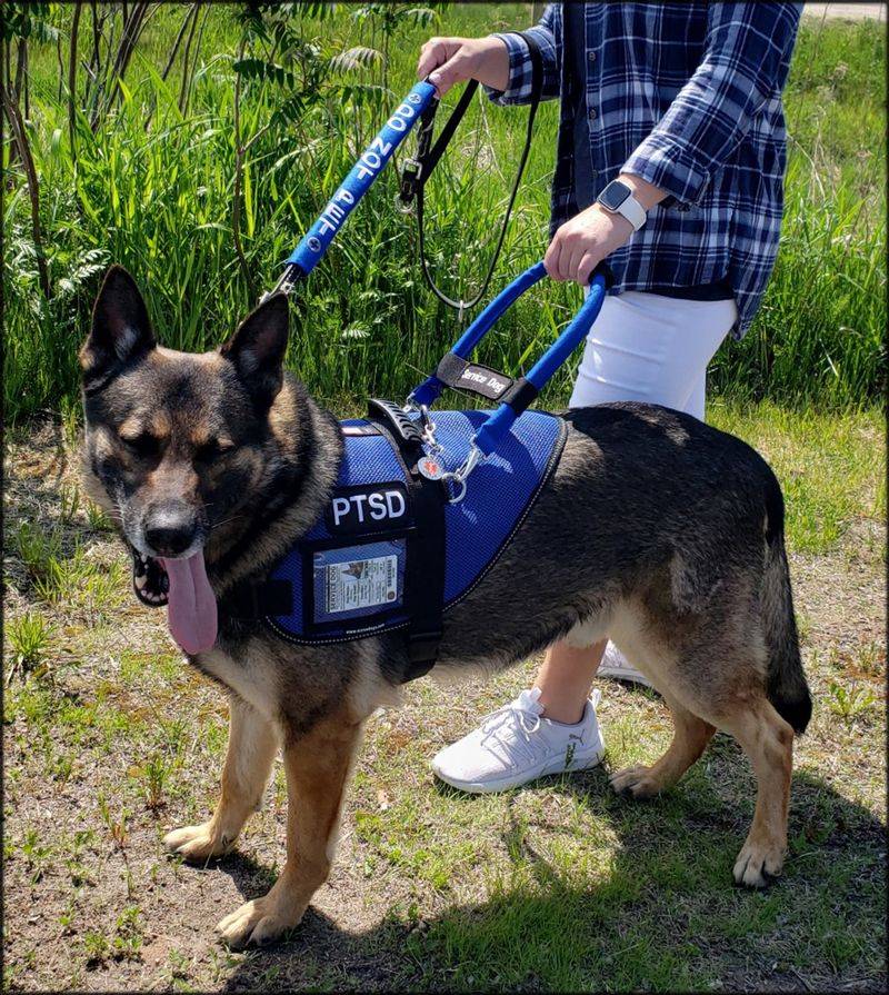 Helpful for Mobility Assistance