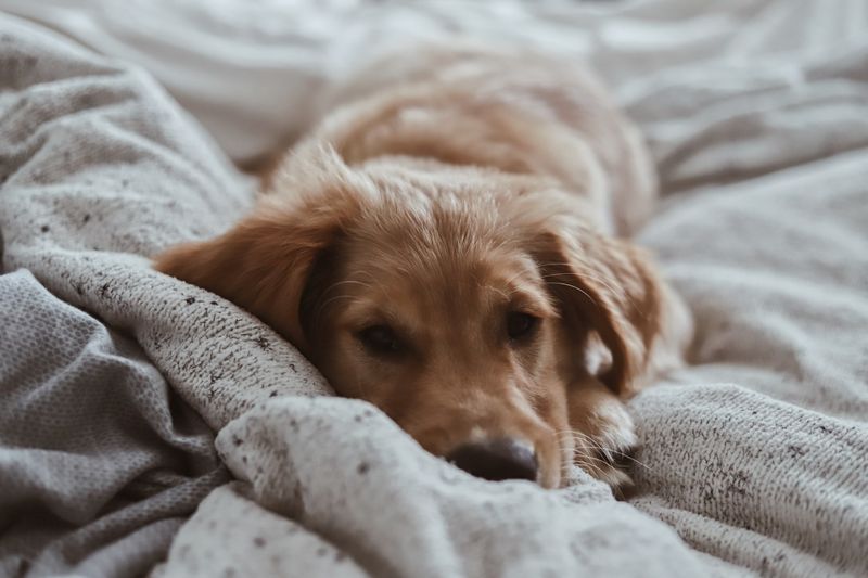 Wash Bedding and Blankets Weekly