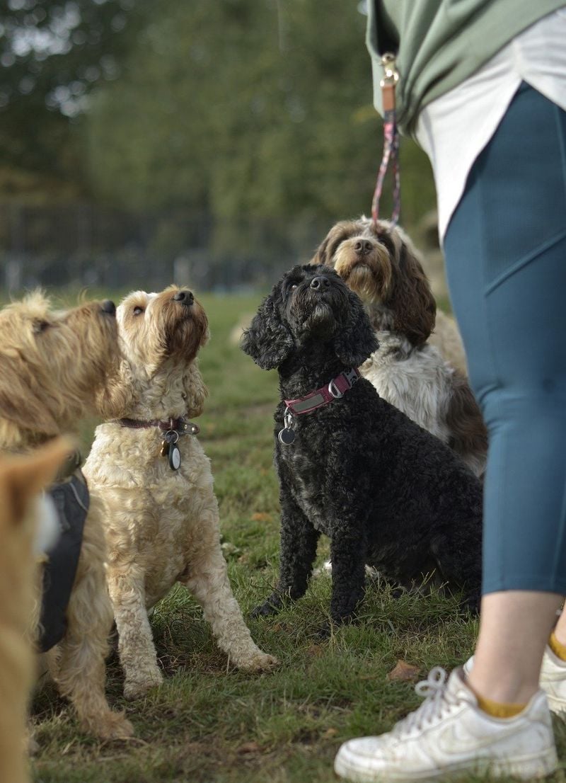 Boosts Socialization Skills