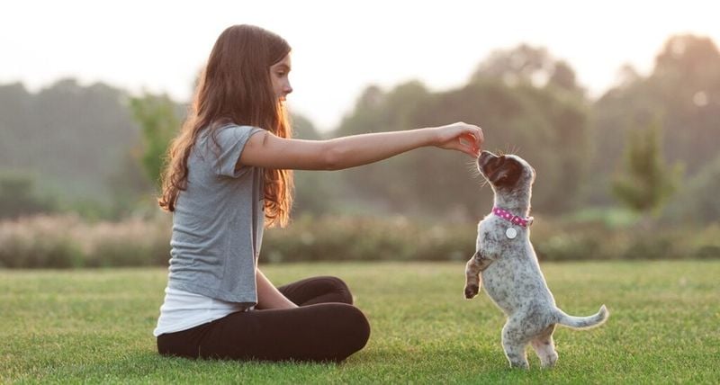 Find a Trusted Trainer or Class