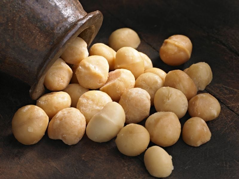 Macadamia Nuts: The Mystery Toxin