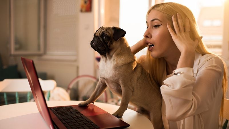 Checking In With You During Stressful Situations
