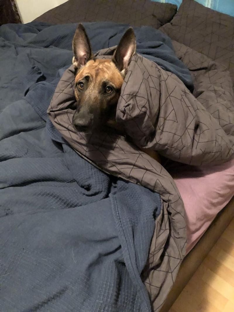 Offering Comfort When They’re Scared
