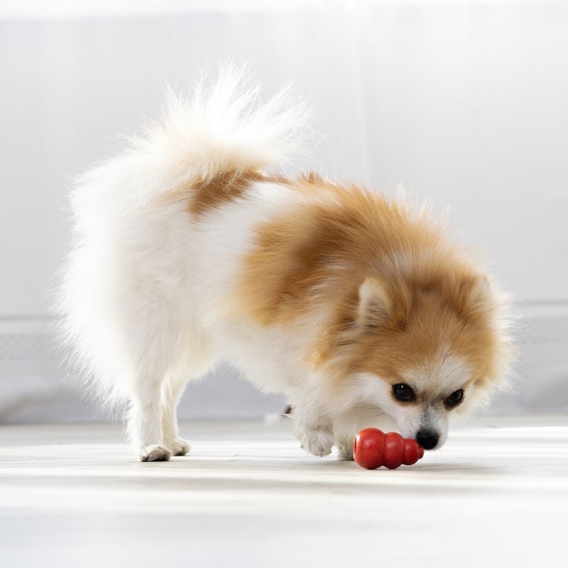 KONG Classic Dog Toy