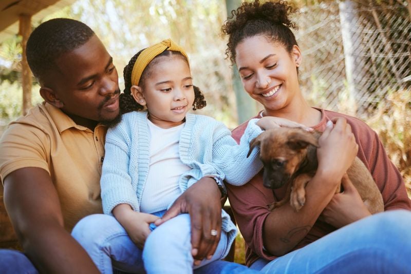 Adopt, Don't Shop