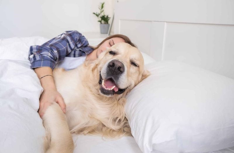Instant Wakefulness