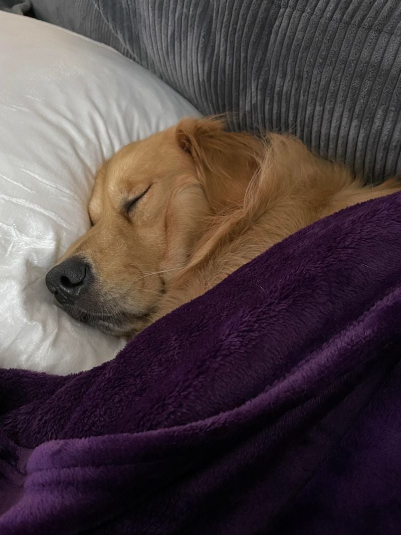 They Sleep More, But Seem Peaceful