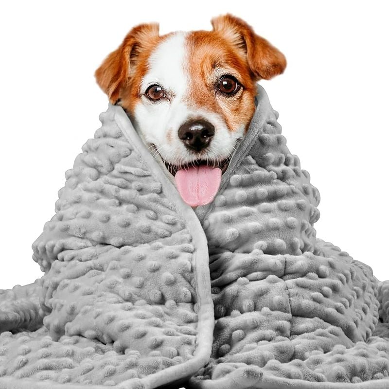 Weighted or Calming Blankets