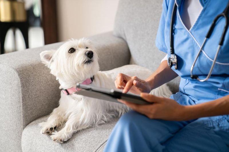 Schedule a Vet Visit