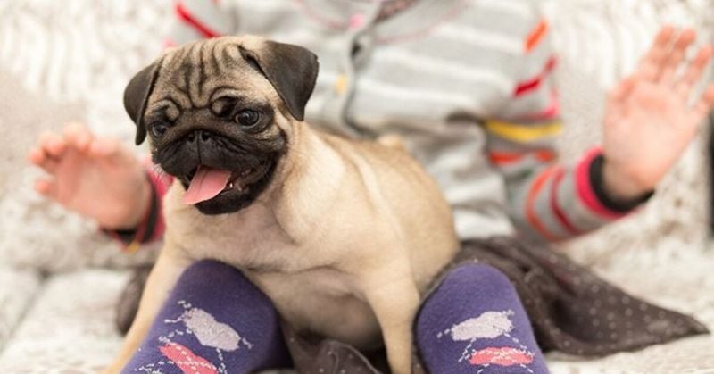 Less Destructive Power