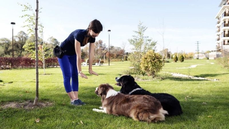 Teach Boundary Training