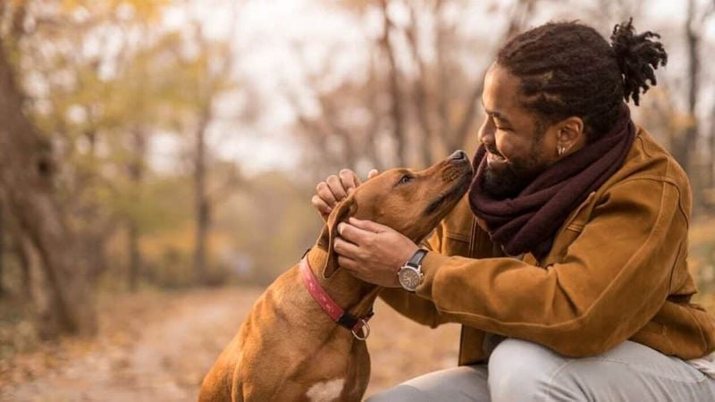 They mirror your energy