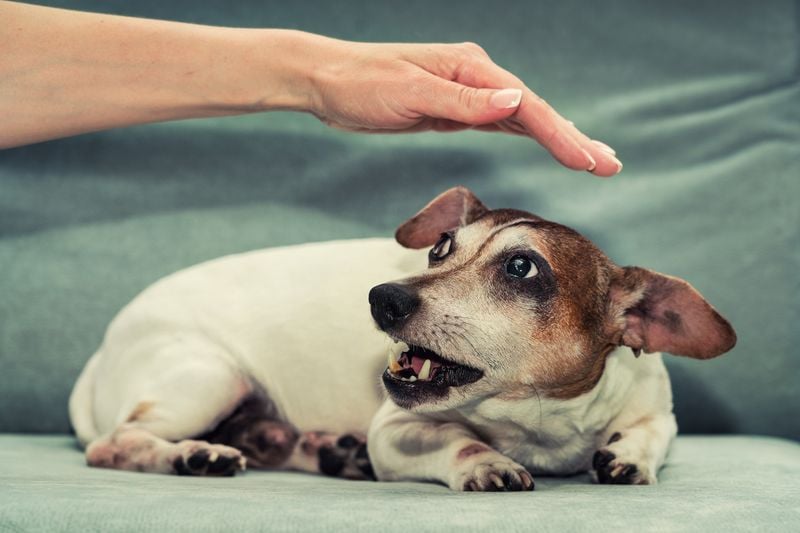 The Times You Lost Your Temper