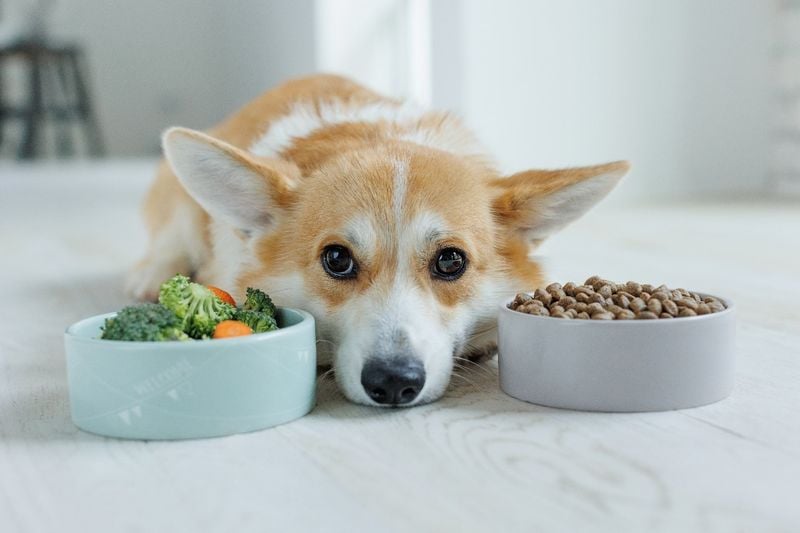 Persistent Digestive Problems