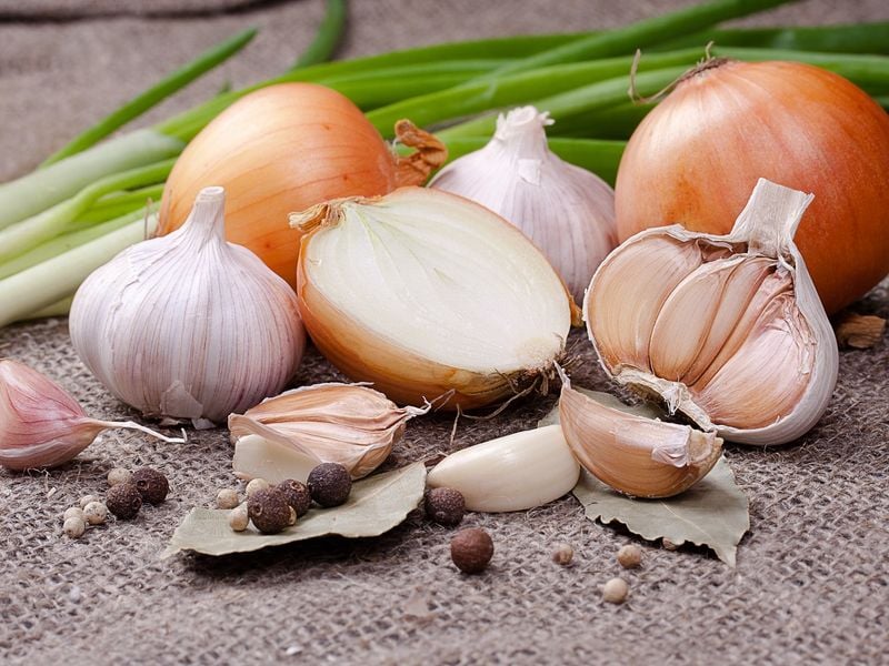 Onion Family Dangers
