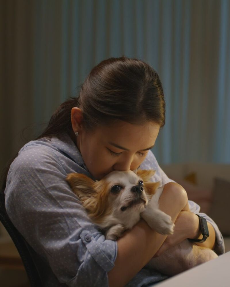 They don't startle easily around you