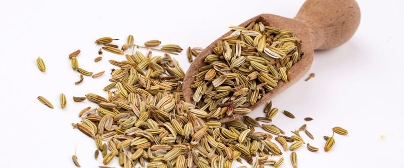 Fennel Seeds