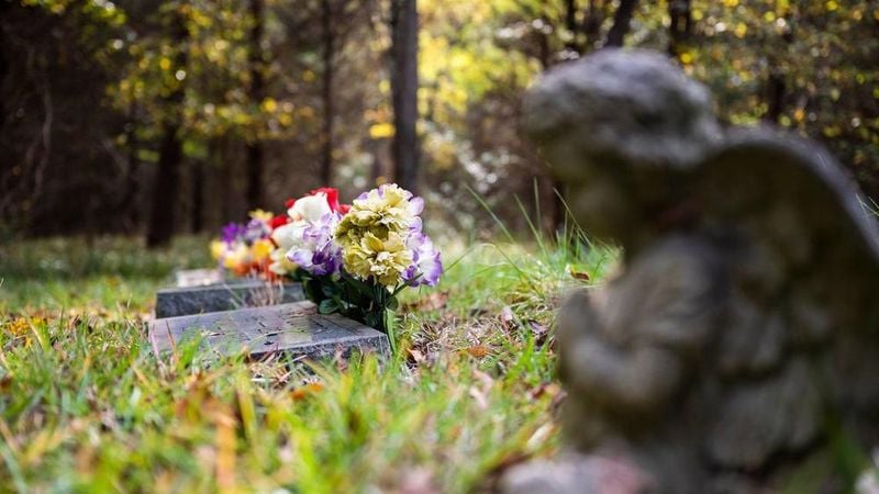 Check Local Pet Burial or Cremation Laws