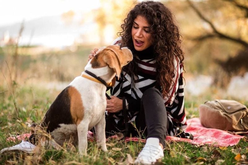 Master the Art of Gentle Communication