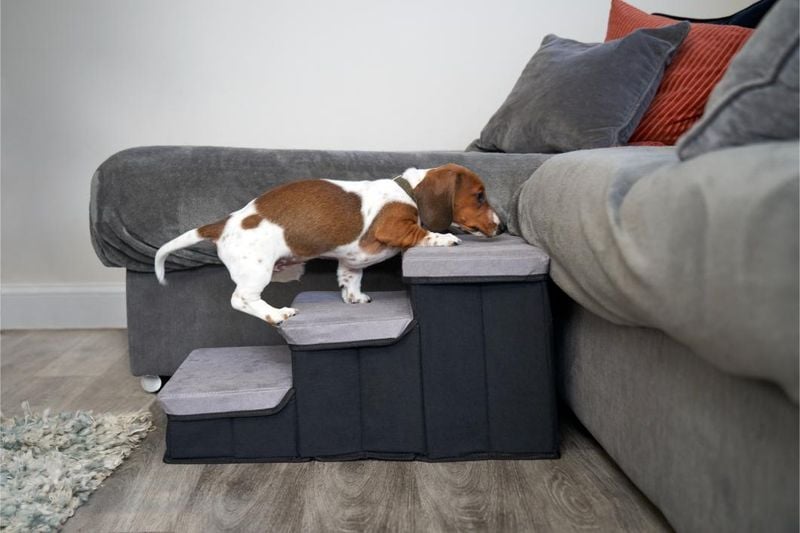 Freedom From Stairs and Slippery Floors